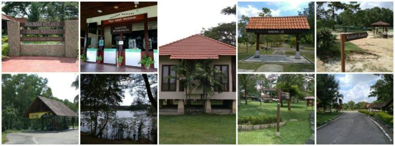 PAYAINDAH